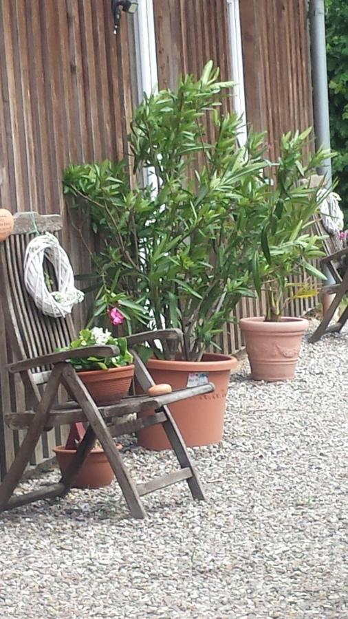 Ferienwohnung-Moeller Rabenholz Ngoại thất bức ảnh